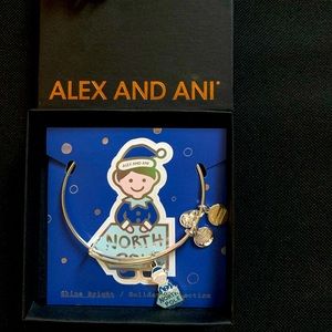 Alex and Ani North Pole Silver Bangle Bracelet